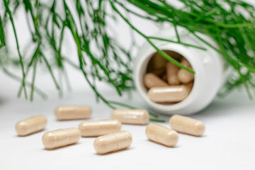 Comprehensive Guide to Hair Care Supplements and Treatments